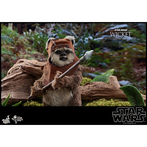 ���������������������ԥ�����6/���������ε��ԡ��ࡼ�ӡ����ޥ������ԡ���1/6��������ե����奢���������å� ͽ��