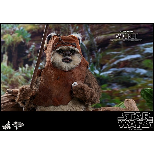 ���������������������ԥ�����6/���������ε��ԡ��ࡼ�ӡ����ޥ������ԡ���1/6��������ե����奢���������å� ͽ��