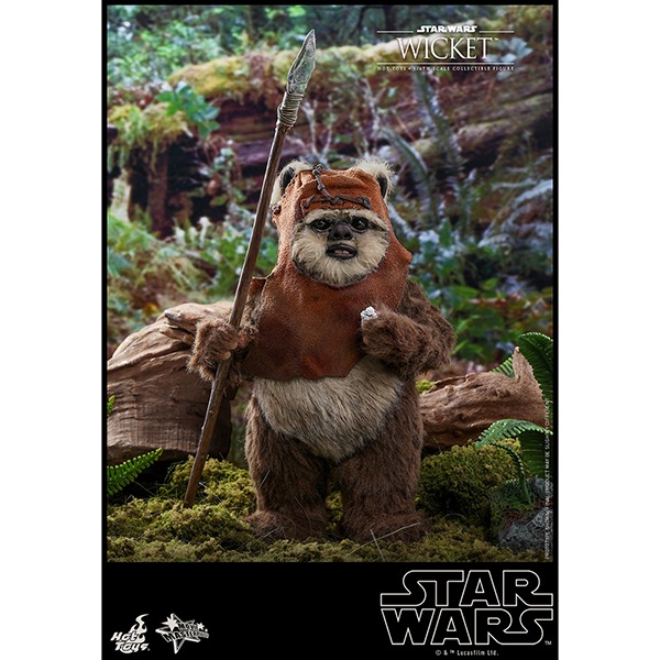 ���������������������ԥ�����6/���������ε��ԡ��ࡼ�ӡ����ޥ������ԡ���1/6��������ե����奢���������å� ͽ��