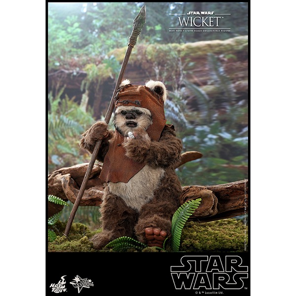 ���������������������ԥ�����6/���������ε��ԡ��ࡼ�ӡ����ޥ������ԡ���1/6��������ե����奢���������å� ͽ��