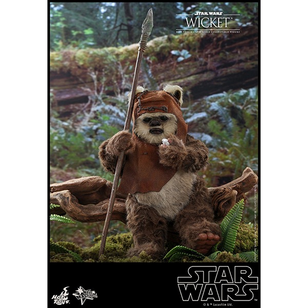 ���������������������ԥ�����6/���������ε��ԡ��ࡼ�ӡ����ޥ������ԡ���1/6��������ե����奢���������å� ͽ��