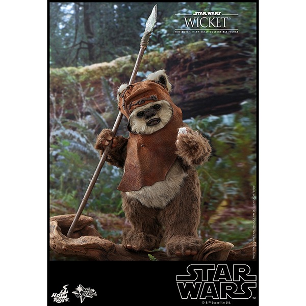 ���������������������ԥ�����6/���������ε��ԡ��ࡼ�ӡ����ޥ������ԡ���1/6��������ե����奢���������å� ͽ��