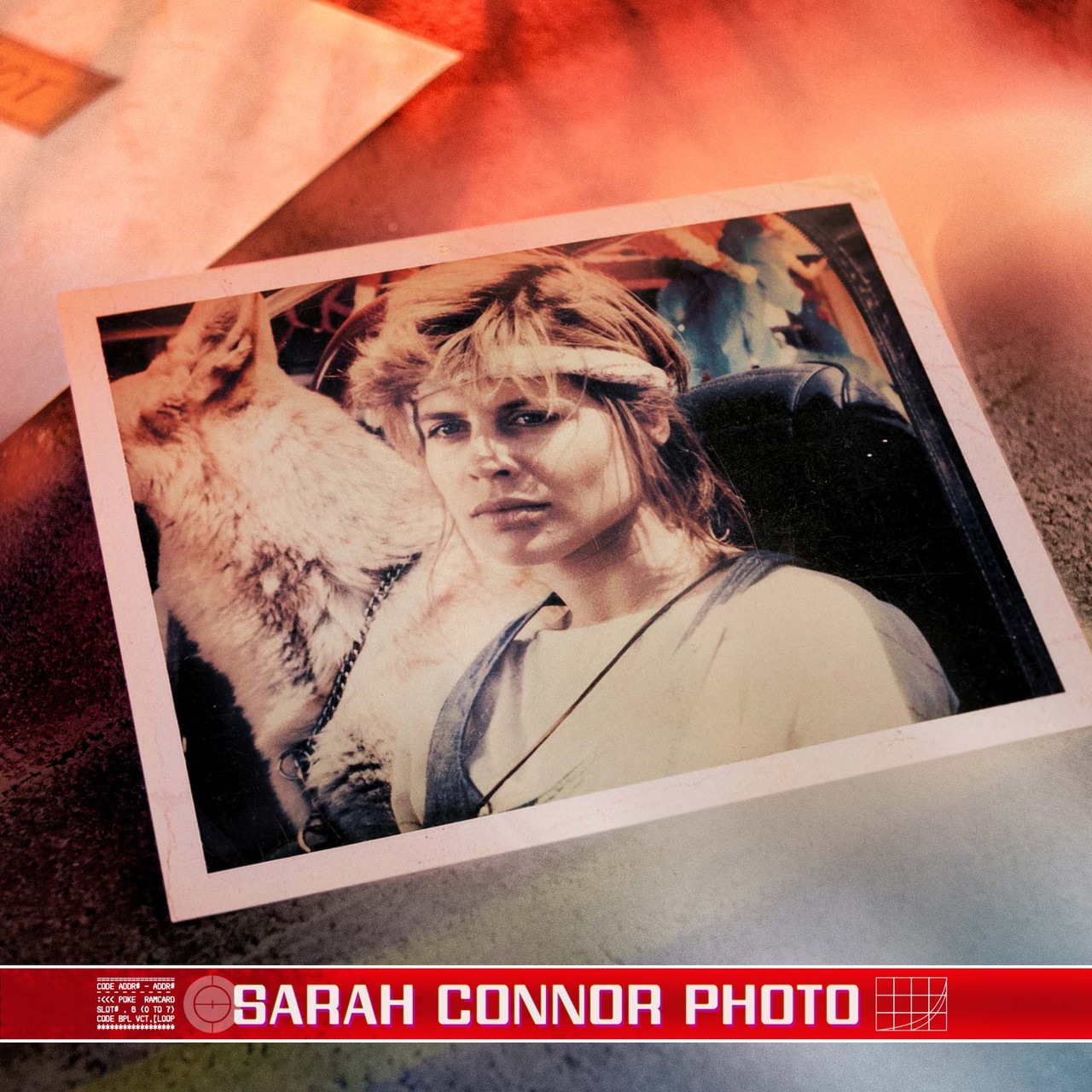 ߥ͡ ꡼/ The Connor Files ʡե륺 åȡͽ