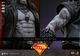 �ࡼ�ӡ����ޥ������ԡ��� �����ѡ������� 1/6��������ե����奢�����ܡ�ͽ��