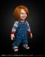 ���������ʸ�Բľ���/��������Chucky TV���꡼��/ ����å��� 1/1 �饤�ե����� �ɡ��롡ͽ��