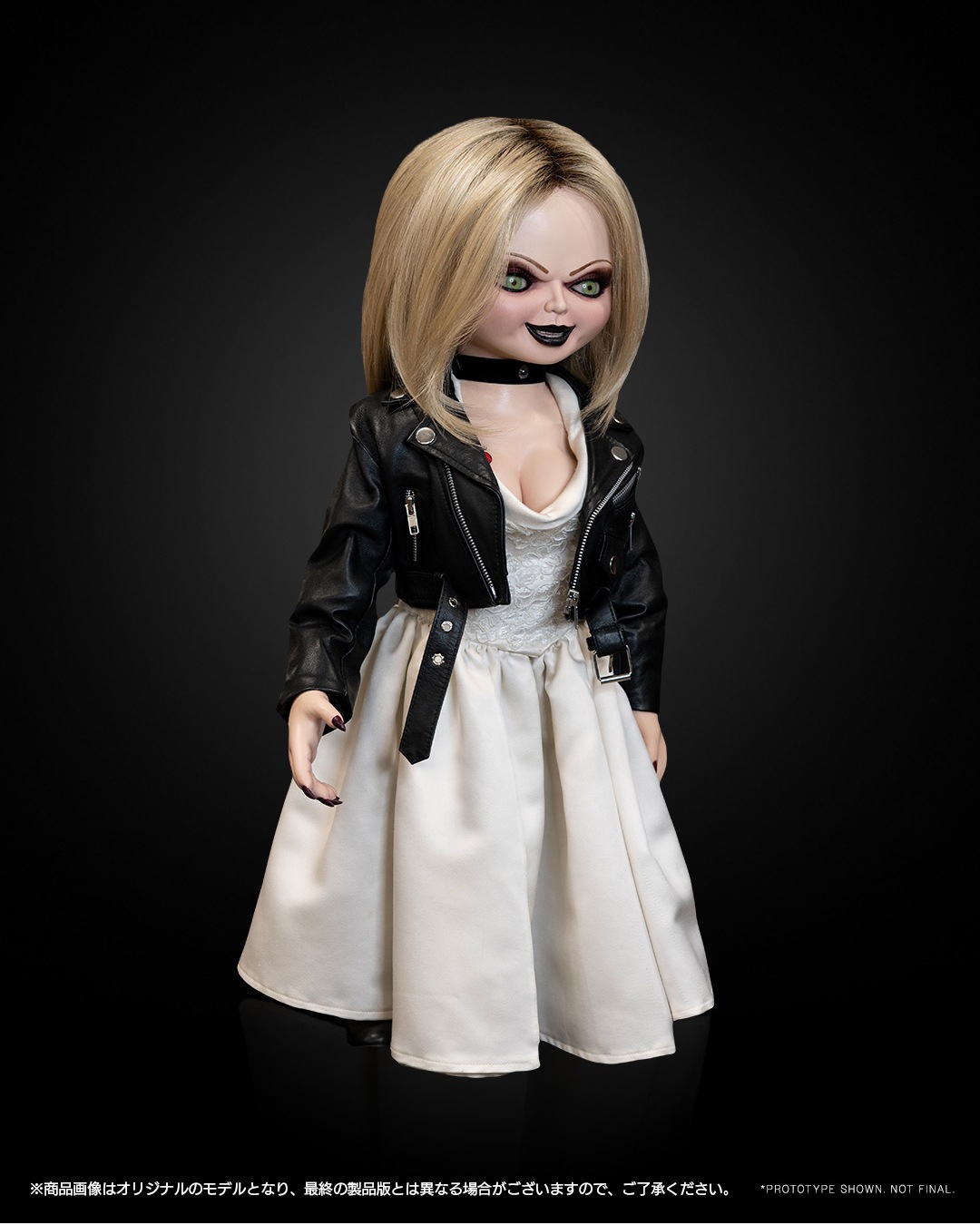 ���������ʸ�Բľ���/��������Chucky TV���꡼��/ �ƥ��ե��ˡ� 1/1 �饤�ե����� �ɡ��롡ͽ��