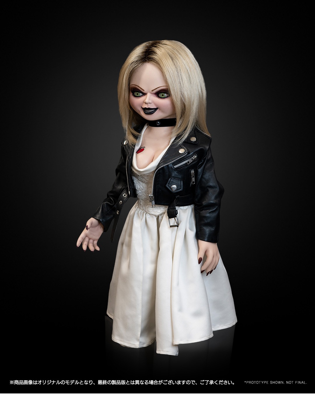 ���������ʸ�Բľ���/��������Chucky TV���꡼��/ �ƥ��ե��ˡ� 1/1 �饤�ե����� �ɡ��롡ͽ��