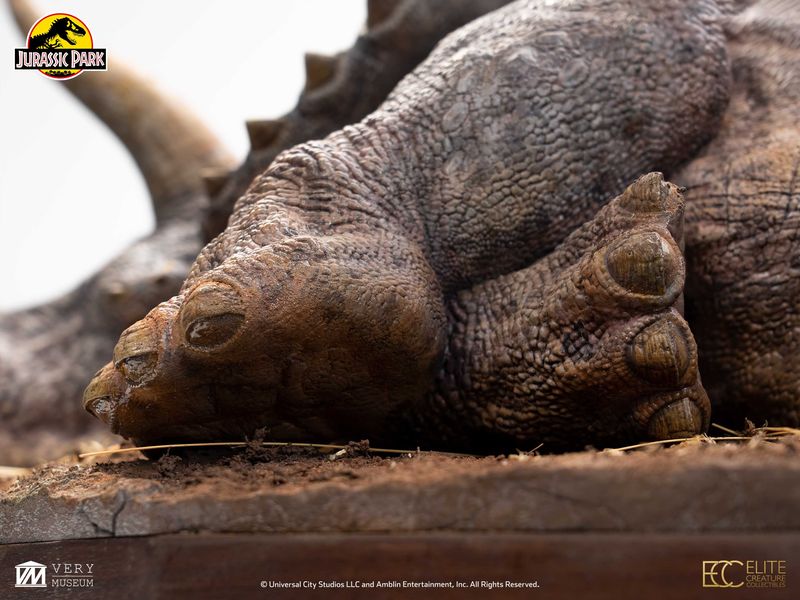 ���������ʸ�Բľ���/�������ۥ���饷�å����ѡ�����1/8��������ޥ��åȡ����å� �ȥꥱ��ȥץ���ͽ��