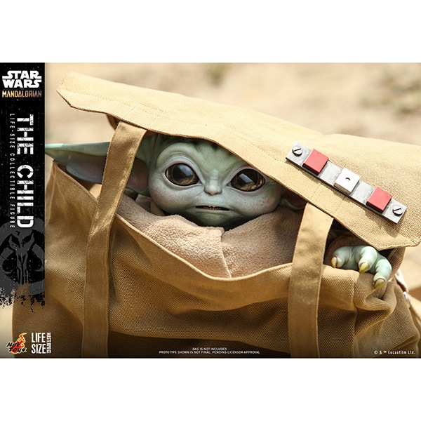 �ޥ�����ꥢ�󡡥饤�ե��������ޥ������ԡ�����1/1��������ե����奢���������㥤��� ͽ��