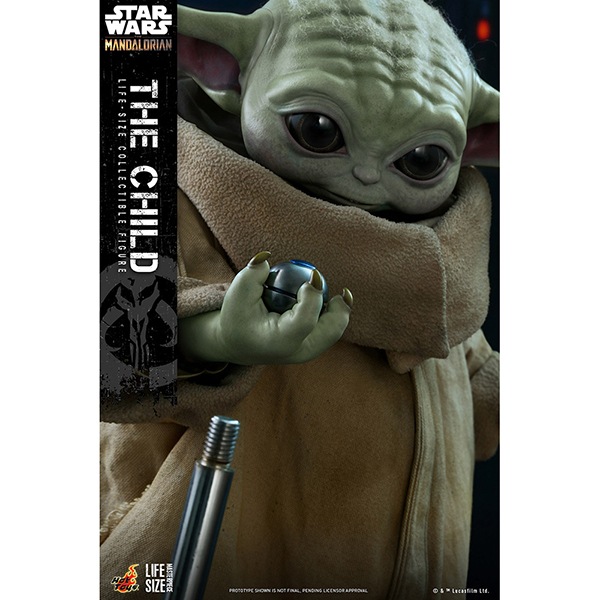 �ޥ�����ꥢ�󡡥饤�ե��������ޥ������ԡ�����1/1��������ե����奢���������㥤��� ͽ��