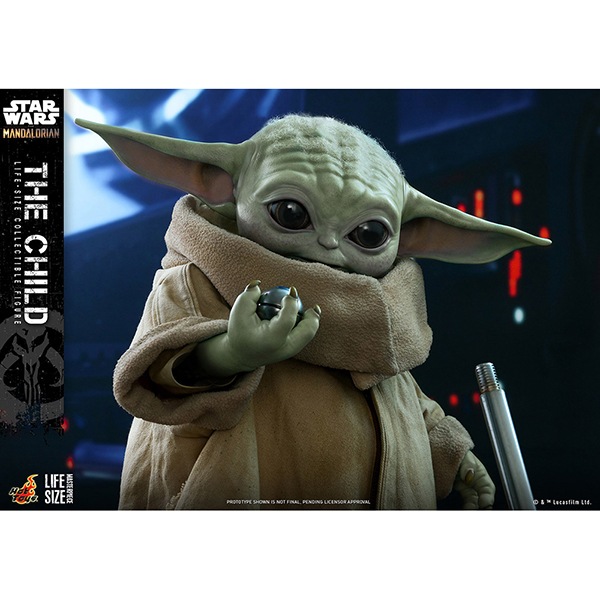 �ޥ�����ꥢ�󡡥饤�ե��������ޥ������ԡ�����1/1��������ե����奢���������㥤��� ͽ��