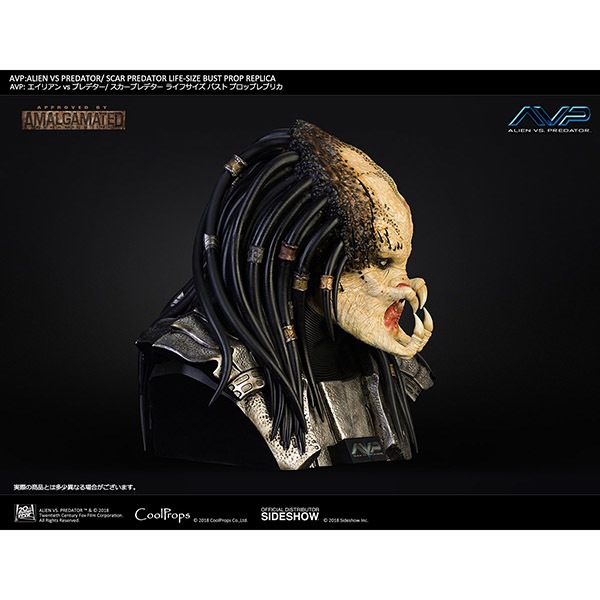 プレデター ライフサイズ ヘッドディスプレイ 1/1 プレデター ライフサイズ ヘッドディスプレイ 1/1 1/1 Scale - Scale