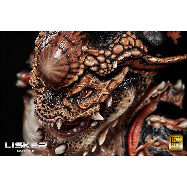 �����С�/GUYVER  1/1��������Х��ȡ��ꥹ����