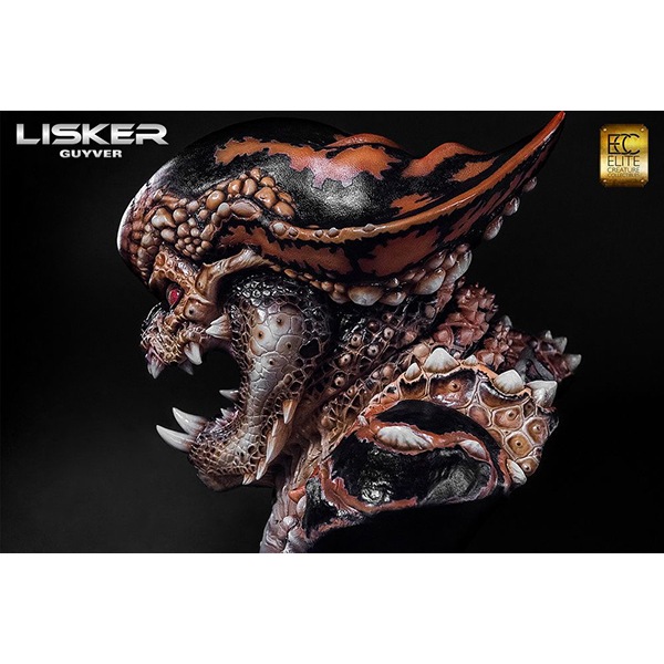 �����С�/GUYVER  1/1��������Х��ȡ��ꥹ����