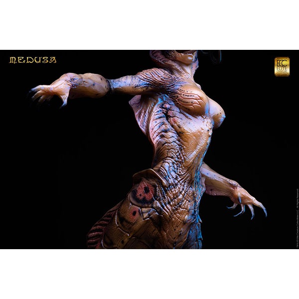 ��������/�������ʸ�Բľ��ʡۥ�ǥ塼����1/3�������롡�ޥ��åȡ�ͽ��