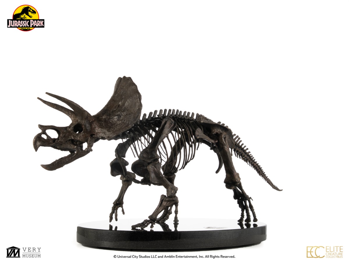 ���������ʸ�Բľ���/�������ۥ���饷�å��ѡ��� 1/12�������� �֥��󥺥������塼 �ȥꥱ��ȥץ��β��й��ʡ�ͽ��