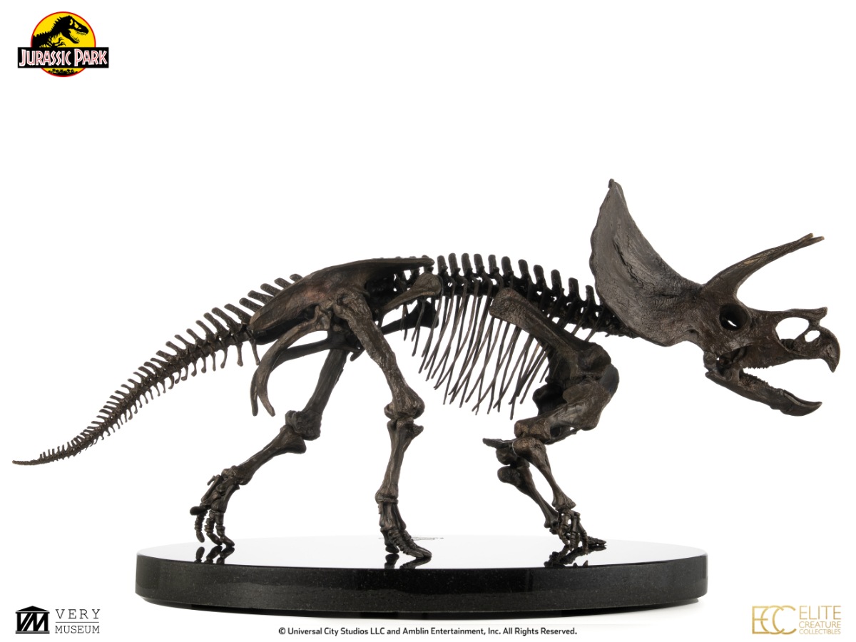 ���������ʸ�Բľ���/�������ۥ���饷�å��ѡ��� 1/12�������� �֥��󥺥������塼 �ȥꥱ��ȥץ��β��й��ʡ�ͽ��