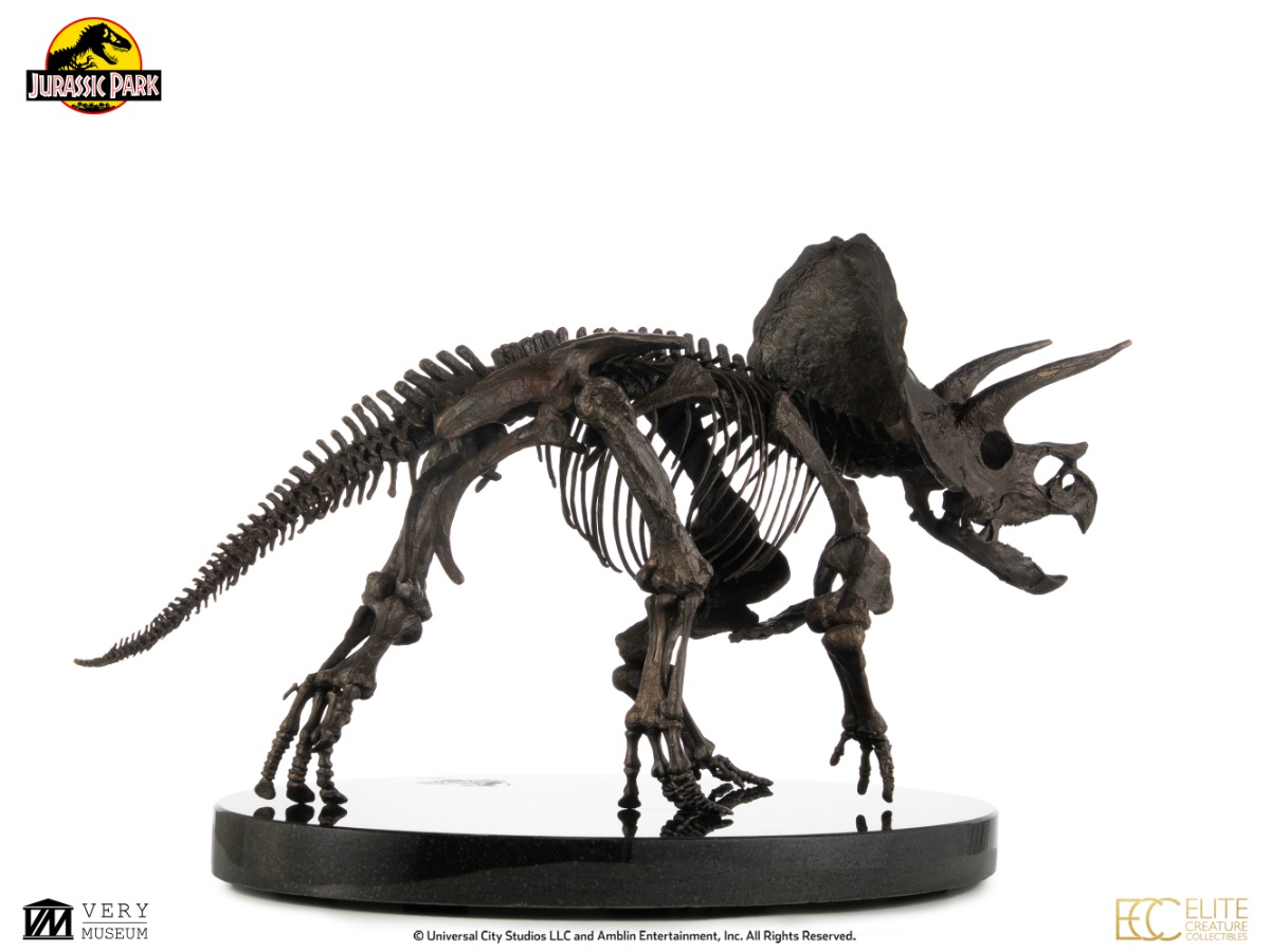 ���������ʸ�Բľ���/�������ۥ���饷�å��ѡ��� 1/12�������� �֥��󥺥������塼 �ȥꥱ��ȥץ��β��й��ʡ�ͽ��