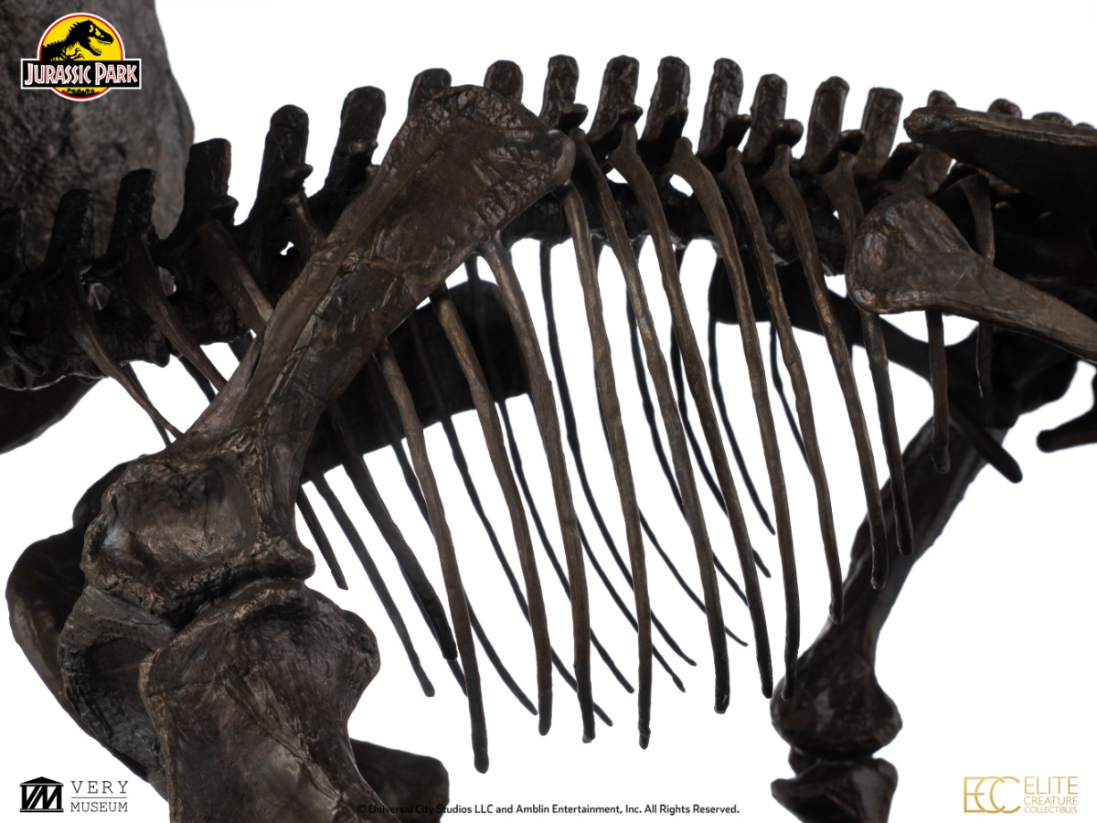 ���������ʸ�Բľ���/�������ۥ���饷�å��ѡ��� 1/12�������� �֥��󥺥������塼 �ȥꥱ��ȥץ��β��й��ʡ�ͽ��