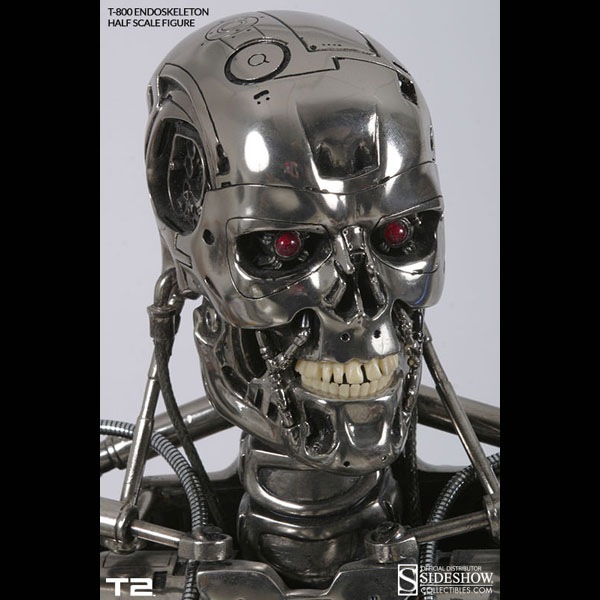 ߥ͡2ϡեץꥫT800ɥȥͽ11338