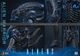 �ࡼ�ӡ����ޥ������ԡ��� �����ꥢ��2 1/6��������ե����奢�������ꥢ�󡦥������ꥢ����2.0�ǡˡ�ͽ��