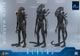�ࡼ�ӡ����ޥ������ԡ��� �����ꥢ��2 1/6��������ե����奢�������ꥢ�󡦥������ꥢ����2.0�ǡˡ�ͽ��
