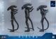 �ࡼ�ӡ����ޥ������ԡ��� �����ꥢ��2 1/6��������ե����奢�������ꥢ�󡦥������ꥢ����2.0�ǡˡ�ͽ��