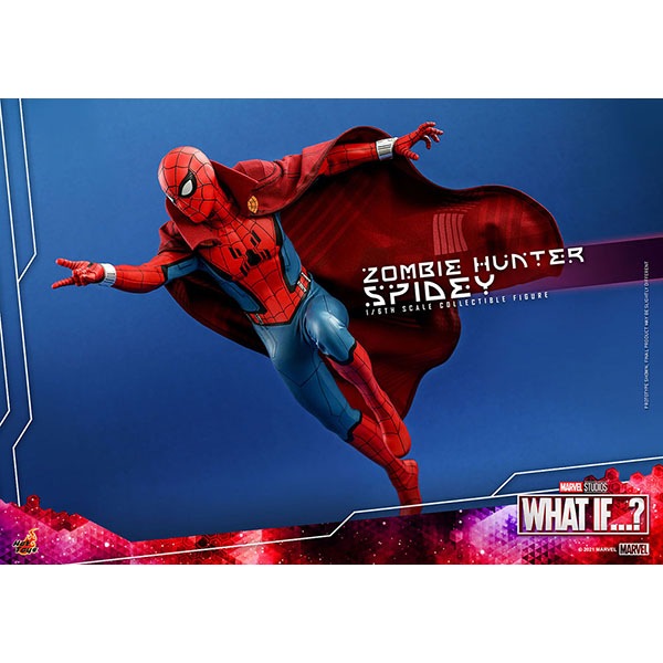 ۥåȡաƥӡޥԡ1/6ե奢ӥϥ󥿡ѥǥ