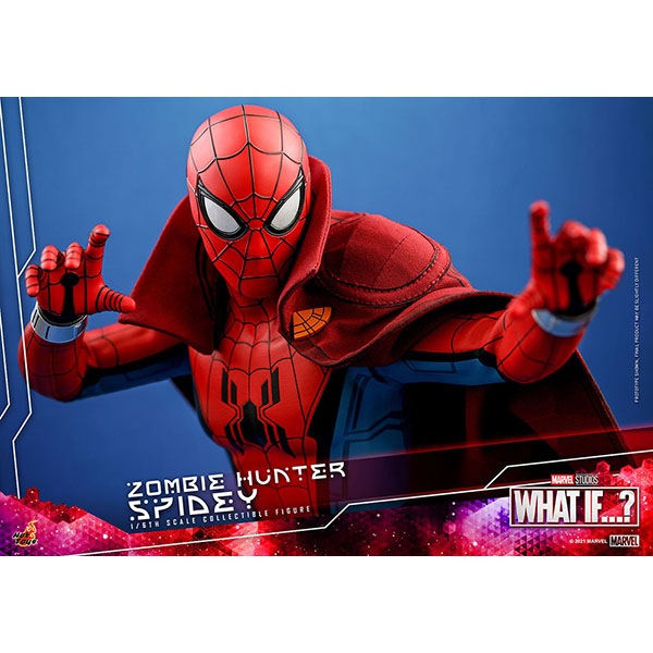 ۥåȡաƥӡޥԡ1/6ե奢ӥϥ󥿡ѥǥ