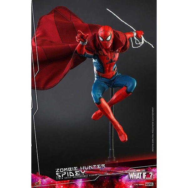 ۥåȡաƥӡޥԡ1/6ե奢ӥϥ󥿡ѥǥ