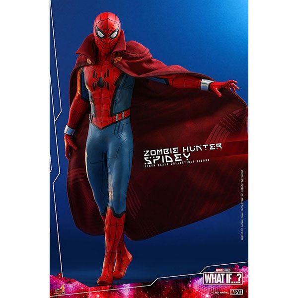 ۥåȡաƥӡޥԡ1/6ե奢ӥϥ󥿡ѥǥ