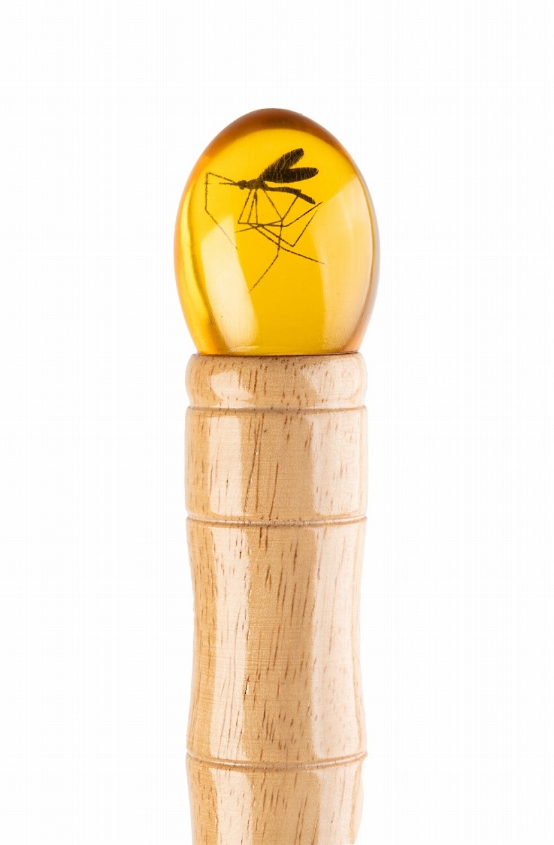 ����饷�å����ѡ���/ �ϥ��ɤξ�������֥��  ͽ��