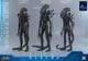 �ࡼ�ӡ����ޥ������ԡ��� �����ꥢ��2 1/6��������ե����奢�������ꥢ�󡦥������ꥢ����2.0�ǡ��ǥ�å����ǡˡ�ͽ��