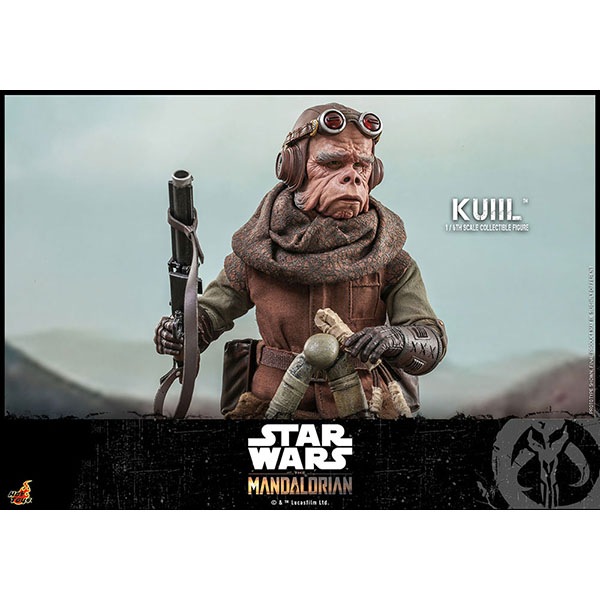 �ޥ�����ꥢ�󡡥ƥ�ӡ��ޥ������ԡ���1/6��������ե����奢���������롡ͽ��