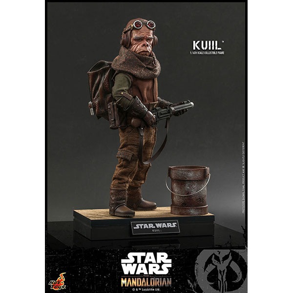 �ޥ�����ꥢ�󡡥ƥ�ӡ��ޥ������ԡ���1/6��������ե����奢���������롡ͽ��