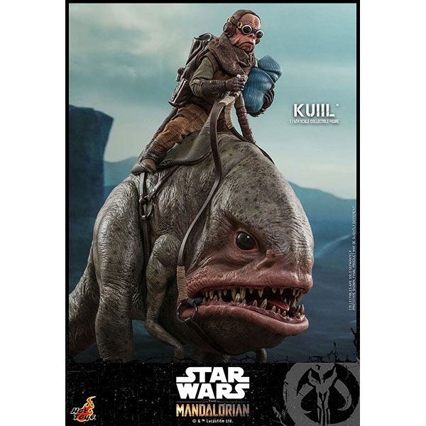 �ޥ�����ꥢ�󡡥ƥ�ӡ��ޥ������ԡ���1/6��������ե����奢���������롡ͽ��