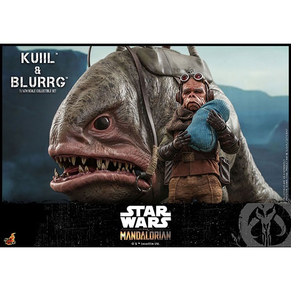 �ޥ�����ꥢ�󡡥ƥ�ӡ��ޥ������ԡ�����1/6��������ե����奢������������֥顼��2�Υ��åȡ�ͽ��