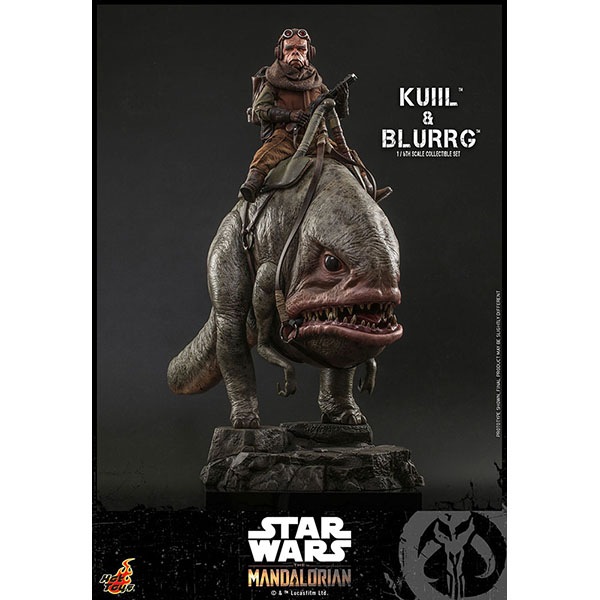 �ޥ�����ꥢ�󡡥ƥ�ӡ��ޥ������ԡ�����1/6��������ե����奢������������֥顼��2�Υ��åȡ�ͽ��