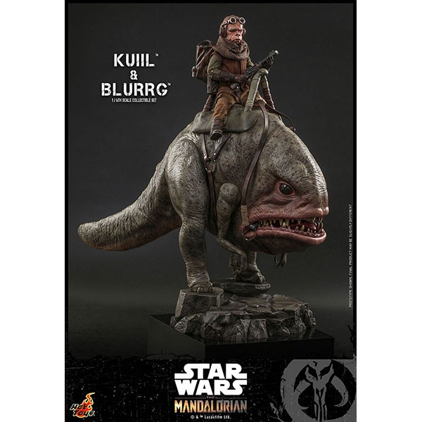 �ޥ�����ꥢ�󡡥ƥ�ӡ��ޥ������ԡ�����1/6��������ե����奢������������֥顼��2�Υ��åȡ�ͽ��