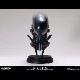�����ꥢ��/ �ӥå�����å�: 1/2�������롦�إåɡ�ͽ��15028
