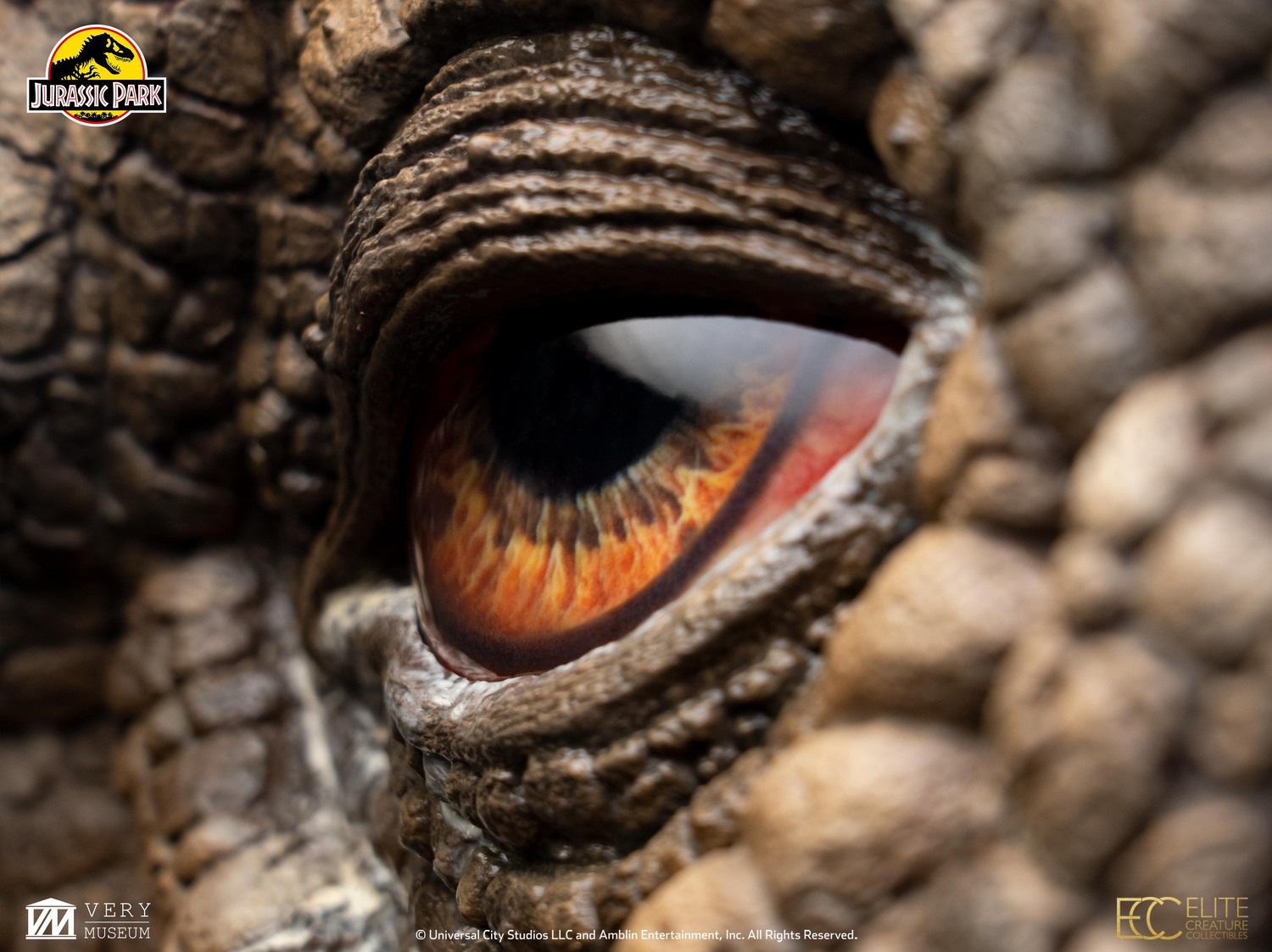 ���������ʸ�Բ�/�������ۥ���饷�å����ѡ�����1/1��������ץ��åס���ץ���������󡡥ȥꥱ��ȥץ����ܡ�ͽ��