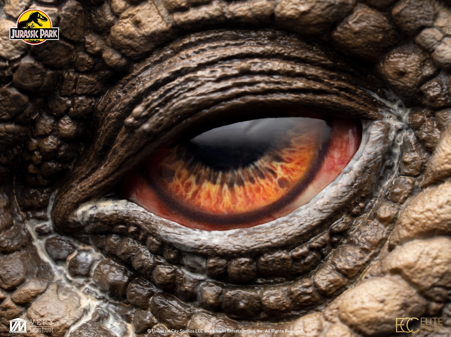 ���������ʸ�Բ�/�������ۥ���饷�å����ѡ�����1/1��������ץ��åס���ץ���������󡡥ȥꥱ��ȥץ����ܡ�ͽ��