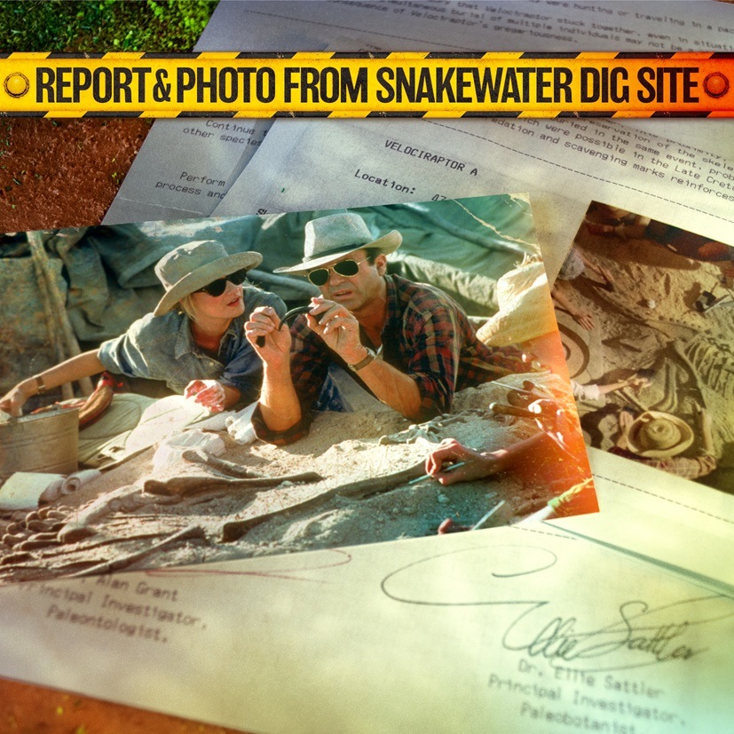 饷åѡ/ ȥ꡼ åȡͽ