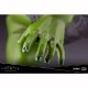 MARVEL UNIVERSE ARTFX PREMIER �����ϥ륯