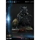 ���������ʸ�Բľ���/�����������ۡ����ͽ����ŵƱ���ۥץ�ߥ���ޥ������饤��/ �������ۡ������ߥå��� �����ꥢ��: �������ꥢ�������ꥢ�� �������塼 PMDHAL-02DXS ͽ��