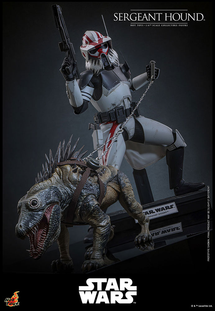 /󡦥ƥӡޥԡ 1/6ե奢ȡϥɡͽ