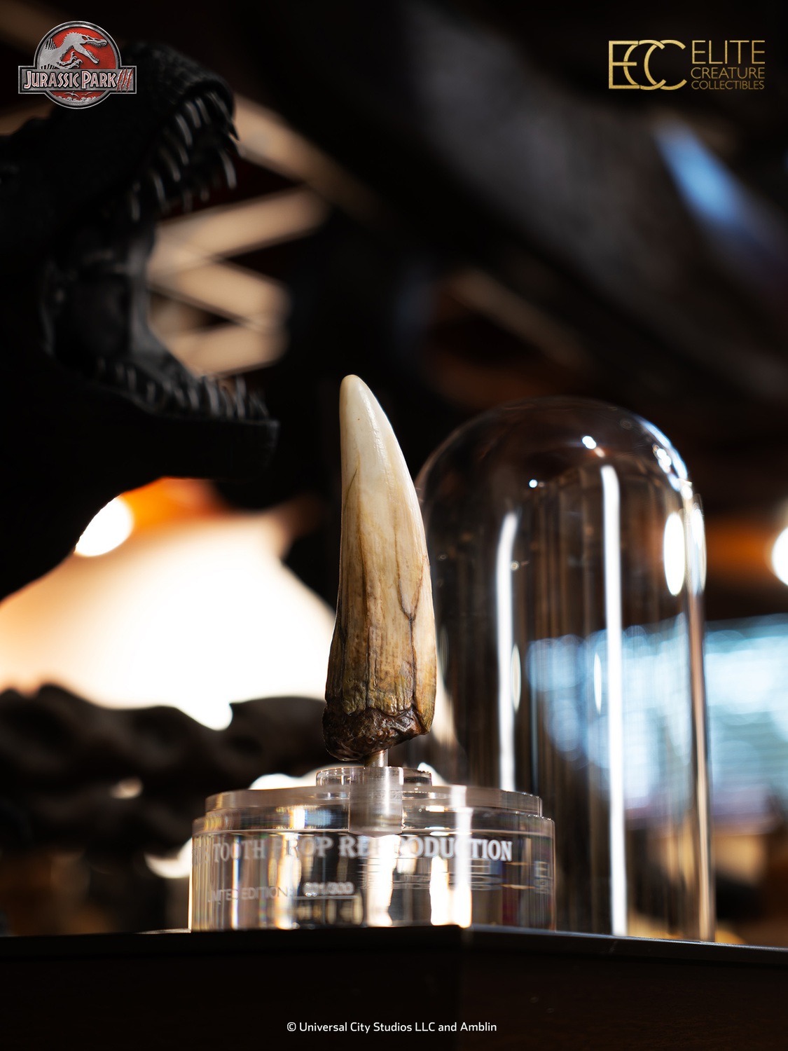 ����饷�å����ѡ�������1/1��������ץ��åס���ץ���������󡡥��ԥΥ����륹�λ� ͽ��