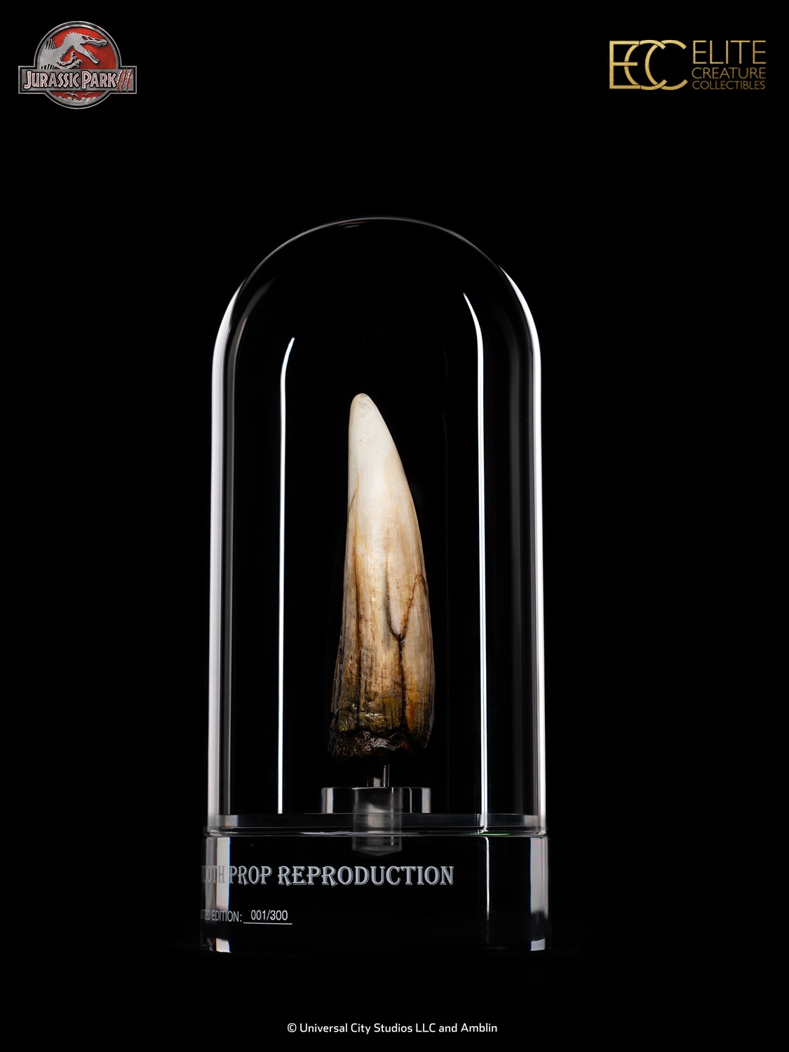 ����饷�å����ѡ�������1/1��������ץ��åס���ץ���������󡡥��ԥΥ����륹�λ� ͽ��