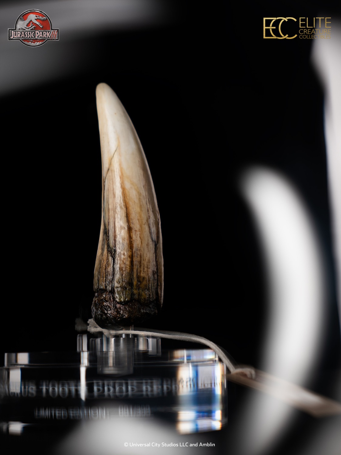 ����饷�å����ѡ�������1/1��������ץ��åס���ץ���������󡡥��ԥΥ����륹�λ� ͽ��