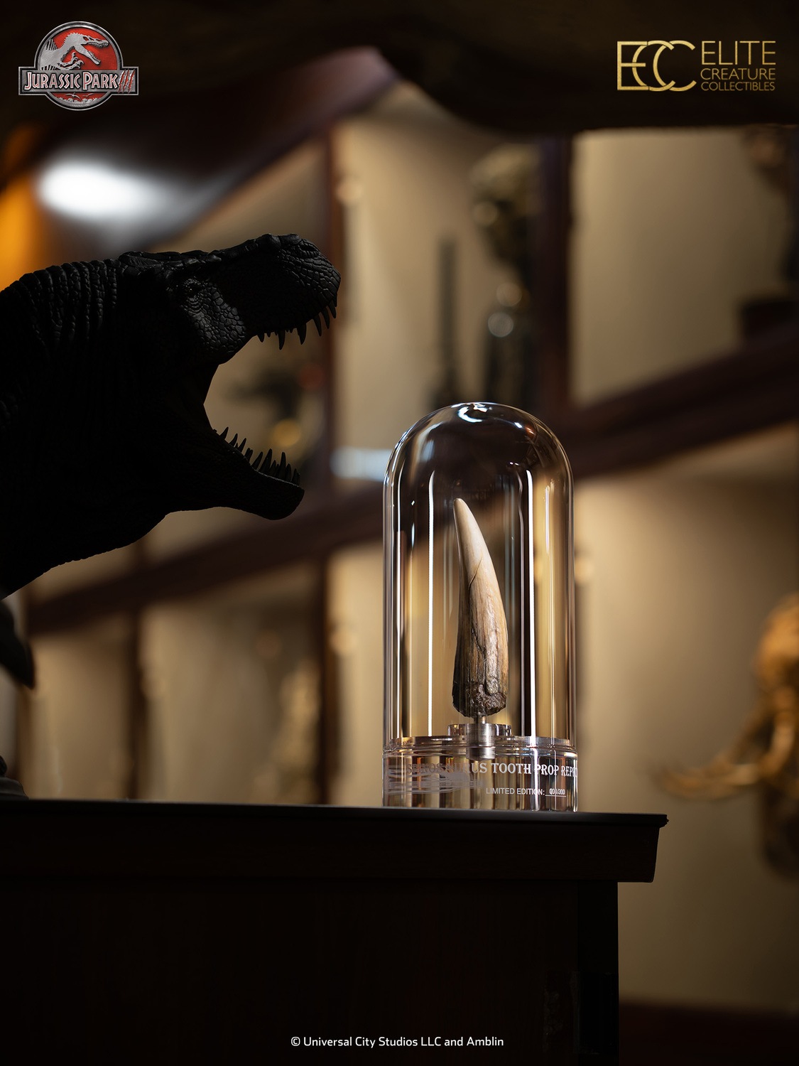 ����饷�å����ѡ�������1/1��������ץ��åס���ץ���������󡡥��ԥΥ����륹�λ� ͽ��